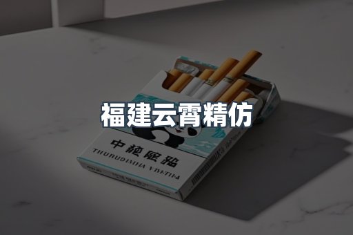 福建云霄精仿